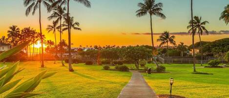 A pathway leading through a well-maintained grassy area with palm trees and a sunset in the background.