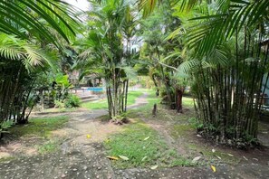 A tropical garden with palm trees and a pathway leading to a building. - Moubillow Resort (Krabi)