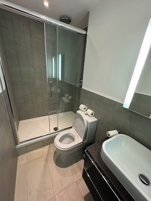 Hair dryer, towels, soap, toilet paper
