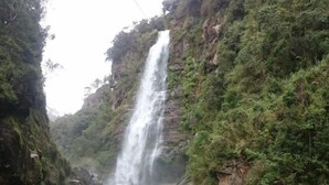 Una cascata che si getta da una scogliera rocciosa, immersa nel verde.