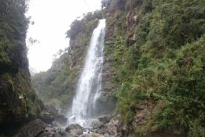 Unclassified image, 4 of 13, button - RedDoorz @ Bilza Lodge Sagada (Sagada)