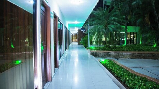A hotel corridor with glass doors, a tiled floor, and green-lit palm trees. - Soak Up the Sun in Mérida Centro with Pool Access & Close to Local Experiences (Mérida)