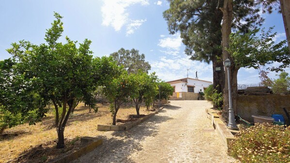 A cobblestone path leading to a building with a white facade and a tiled roof.