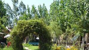 Un jardín con un sendero, una estructura de madera y un letrero que dice 'L. Rose Manor'.
