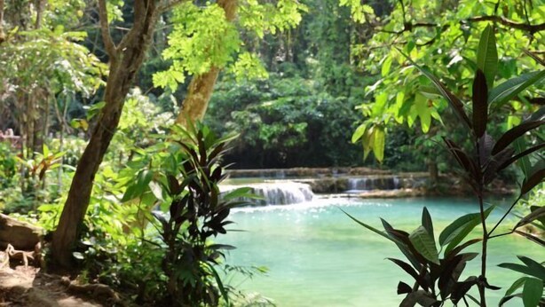 A lush, green forest with a clear, turquoise pond and a small waterfall.