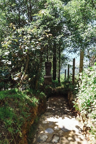 Find Your Perfect Mountain Retreat at House Earth