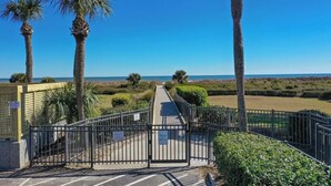 Un sendero que lleva a una zona de playa con palmeras y una vista despejada del océano.