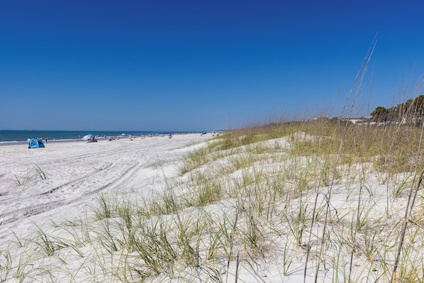 Plage, chaises longues, serviettes de plage