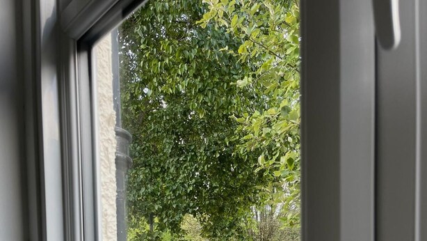 Vista a través de una ventana que muestra un patio con mesa y sillas de madera, una planta en maceta y un cerco de madera.