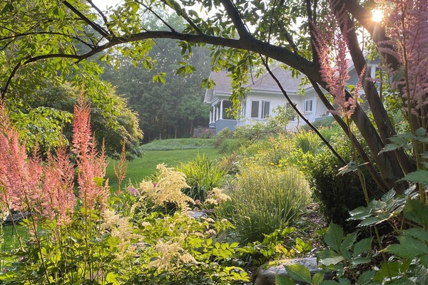 Terrain de l’hébergement