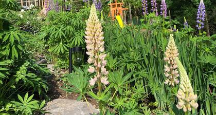 Dual-Dwelling Catskill Getaway Near Belleayre & Plattekill