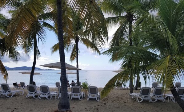 A beach with white lounge chairs and umbrellas.