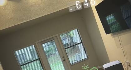 2-bedroom Luxury apartment in charming Gainesville Near Campus & Top Fun!