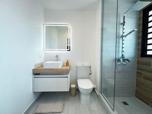 Shower, hair dryer, towels