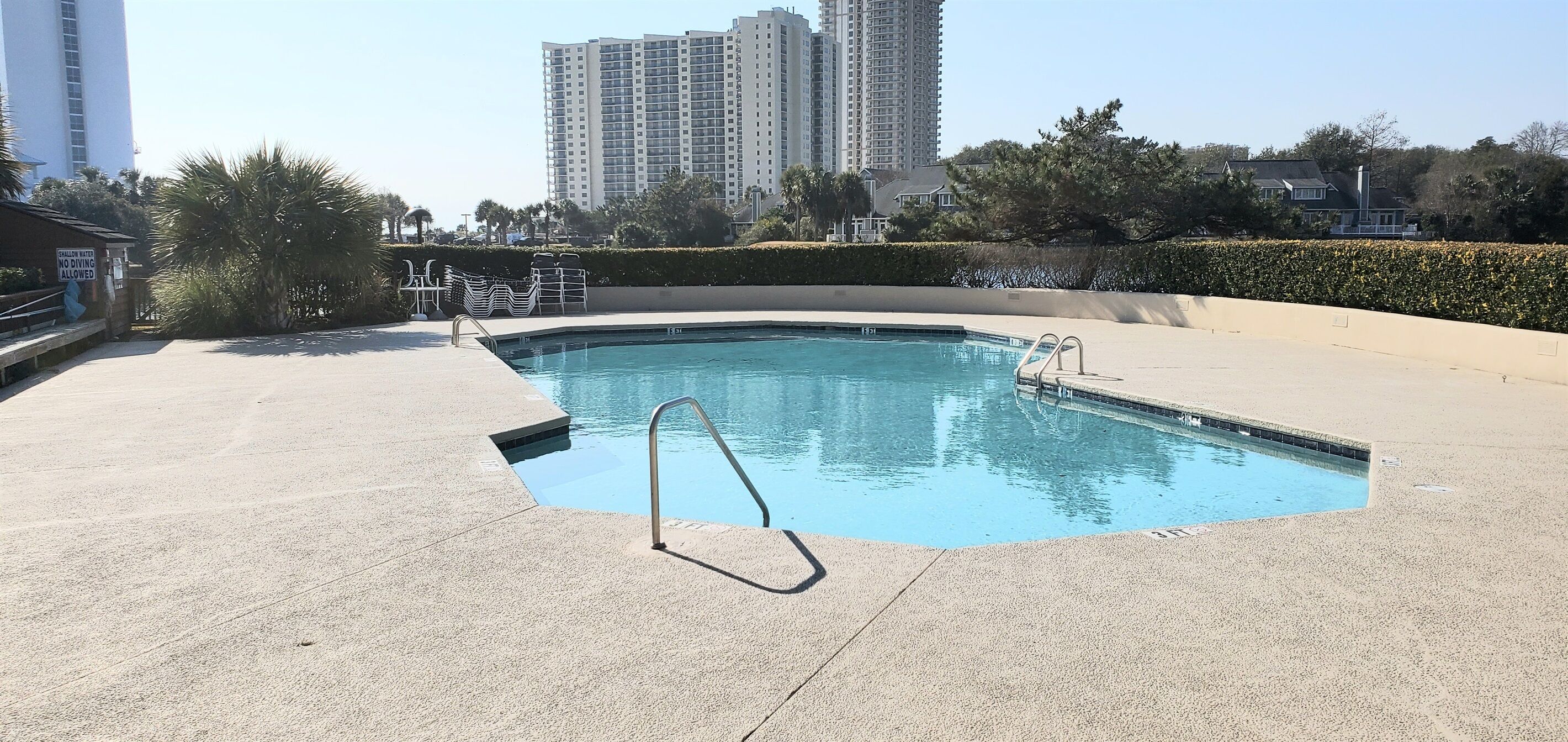 A swimming pool with a metal ladder, surrounded by a concrete deck and a hedge. In the background, there are tall residential buildings.