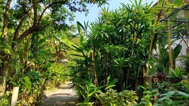 A narrow pathway flanked by lush greenery and potted plants, leading through a garden area. - Putrajaya Transit Romestay (Putrajaya)
