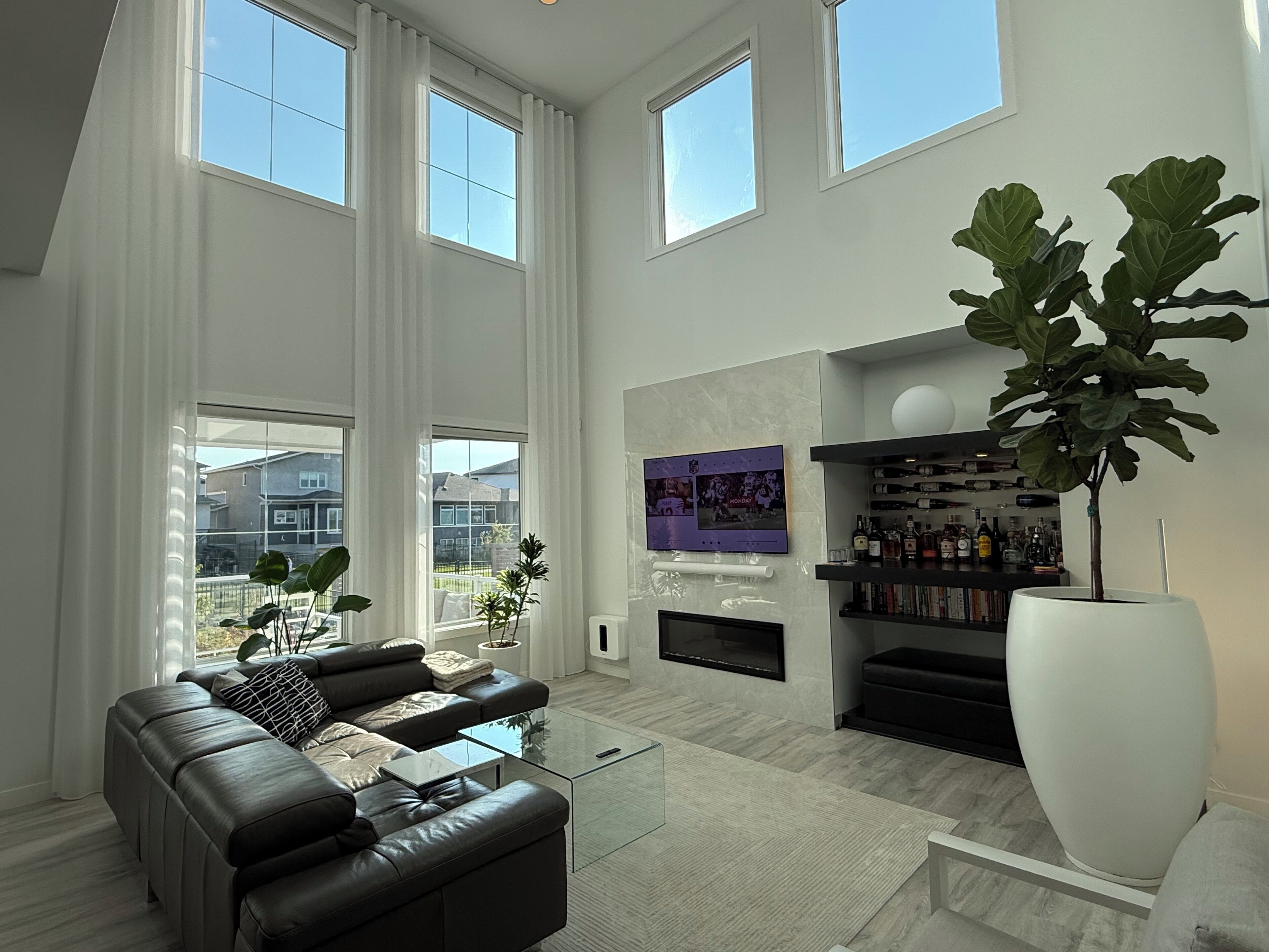 Smart TV, fireplace, books, stereo