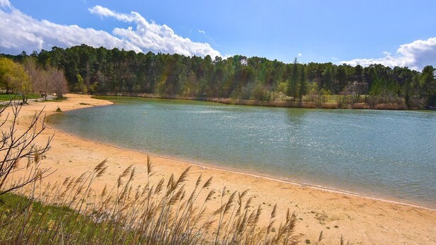 Ein sandiger Strand mit klarem Wasser und bewaldetem Hintergrund.