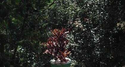 Find Your Perfect Mountain Retreat at House