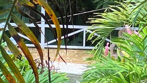 Un exuberante jardín con diversas plantas tropicales, una cerca blanca y una vista parcial de un área de piscina.