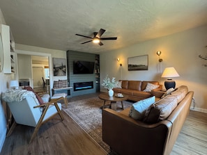 Televisor intel·ligent, llar de foc i llibres