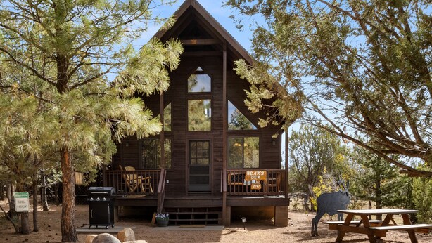 A rustic cabin with a porch, a barbecue grill, and a picnic table. - Bear's Den |  Hot Tub~Fireplace~BBQ~Sleeping Loft (Overgaard)