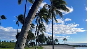 A beach with palm trees and a grassy area.