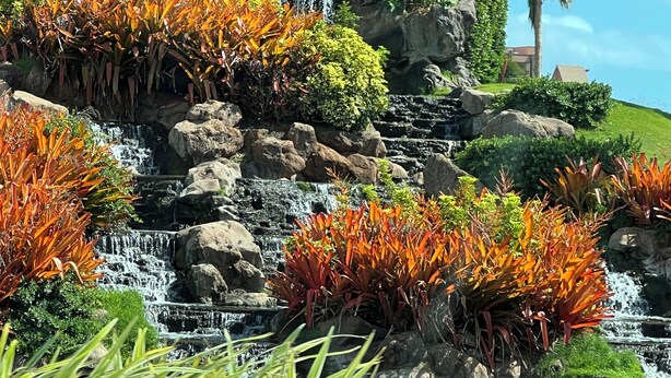 A waterfall cascading over rocks surrounded by tropical plants.