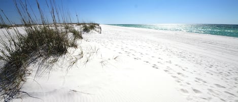 Playa en los alrededores