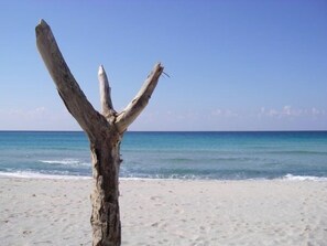 Tæt på stranden