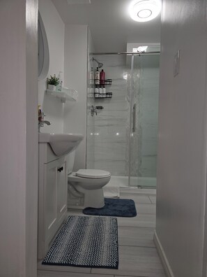 Hair dryer, towels, soap, toilet paper