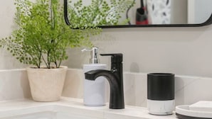 Ein Badezimmer mit einem weißen Waschbecken, einem schwarzen Wasserhahn und einer Topfpflanze.