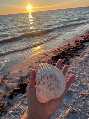Sun-loungers, beach towels