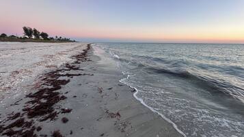 Sun-loungers, beach towels