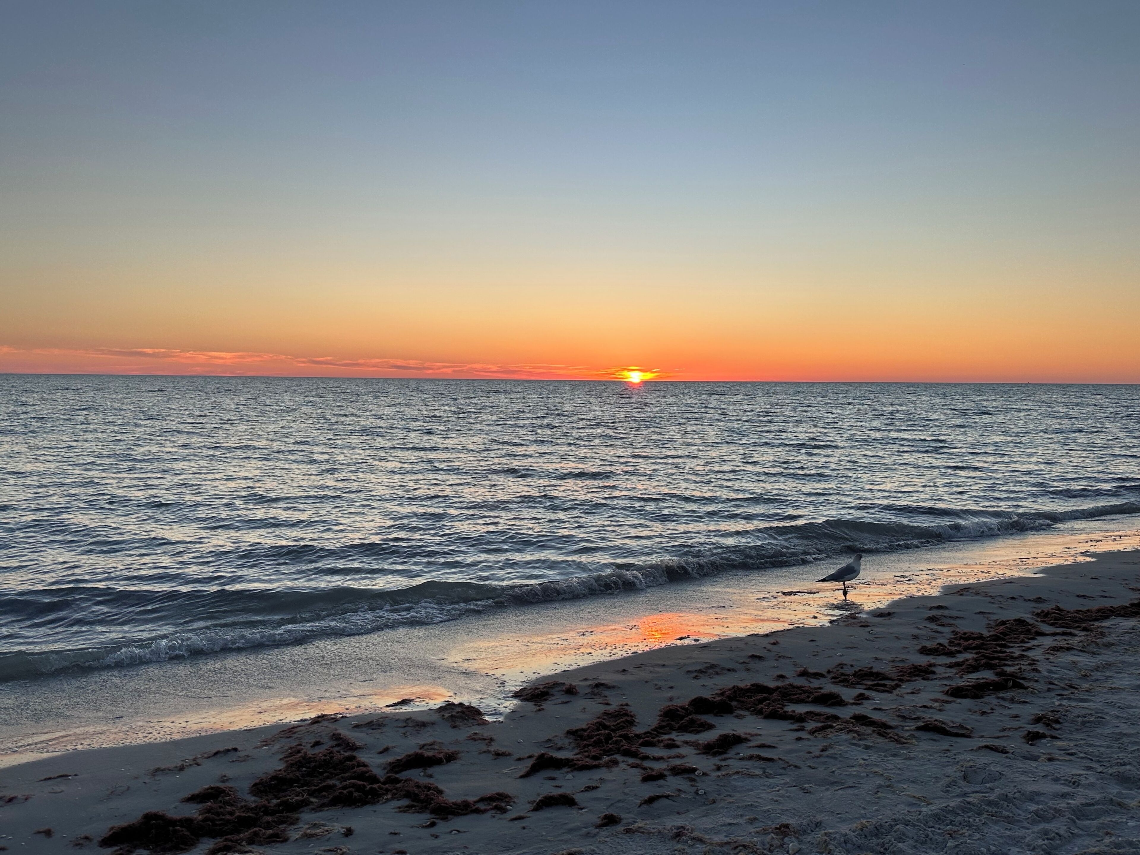 Sun-loungers, beach towels