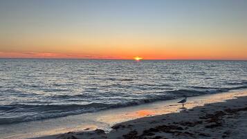 Sun-loungers, beach towels