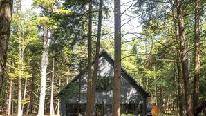 A rustic cabin with a porch and outdoor seating, surrounded by tall trees.