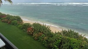 Una spiaggia con un arcobaleno sull'oceano, vegetazione rigogliosa e una palma.