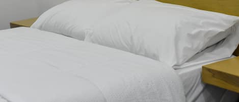 Chambre double | Espace de travail pour ordinateurs portables, accĂšs au Wi-Fi (inclus)