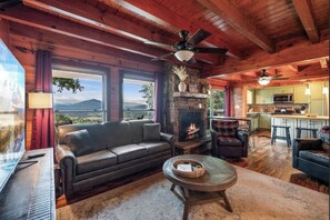 TV, fireplace, video games, books