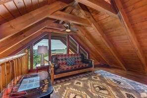 TV, fireplace, video games, books