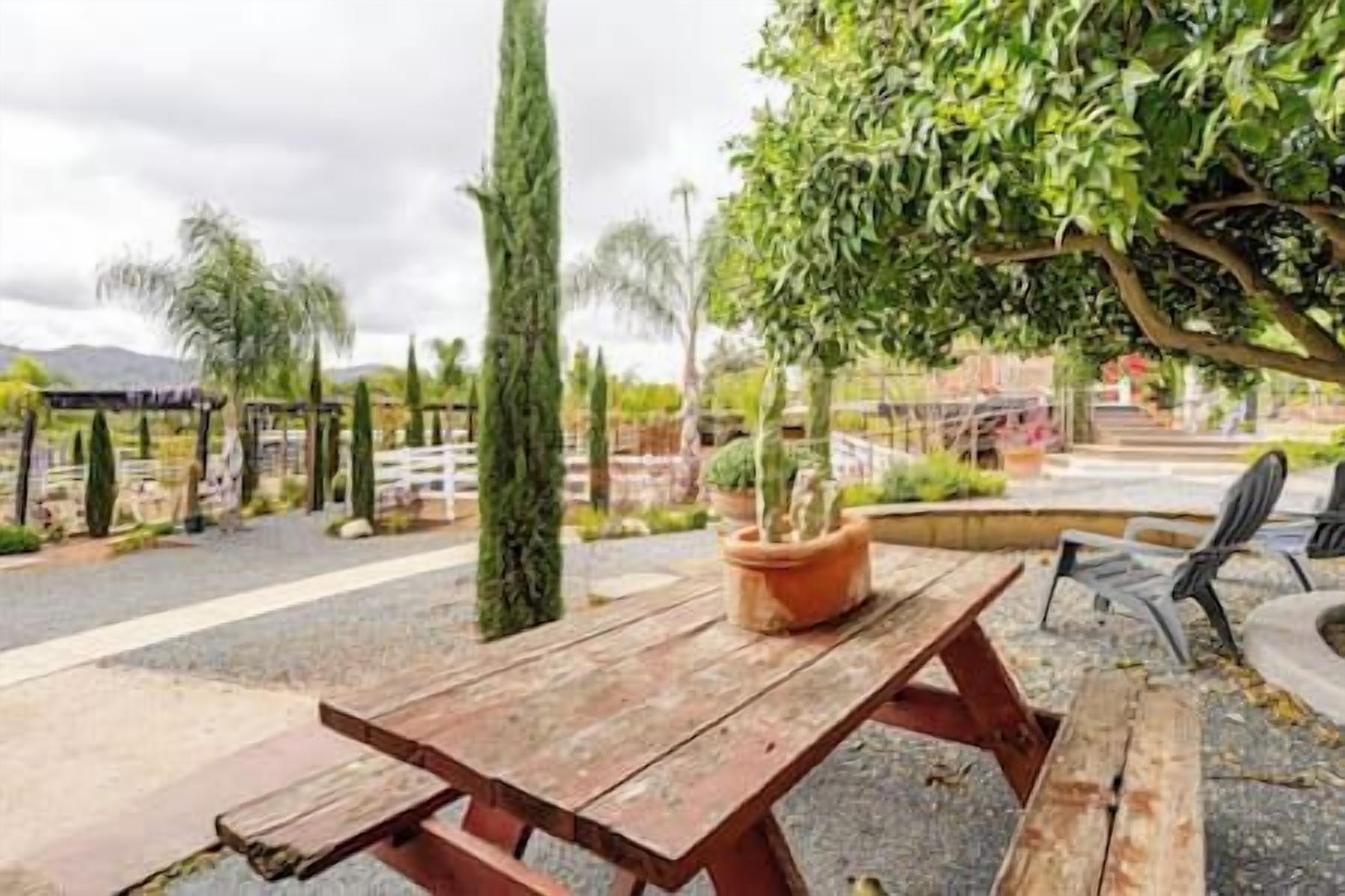 A wooden picnic table with a potted plant, surrounded by a gravel path and a fenced area with trees.