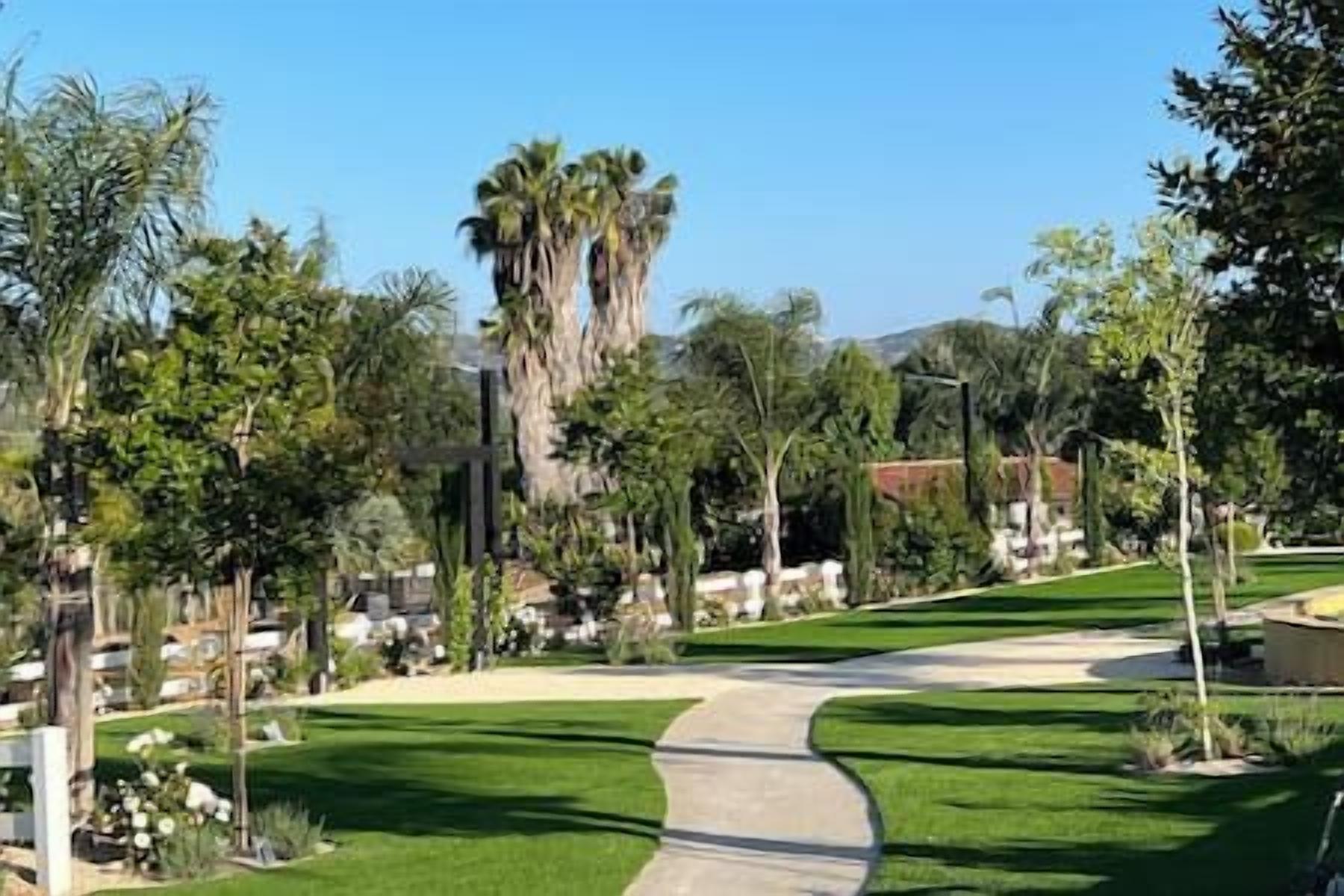 A pathway leading to a building with a palm tree in the background.