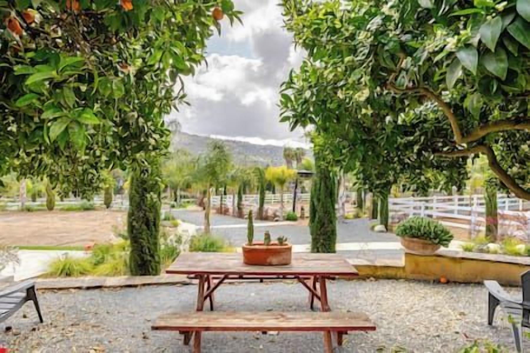 An outdoor seating area with a table and chairs, surrounded by greenery and a view of a fenced area.