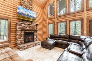 TV, fireplace, books