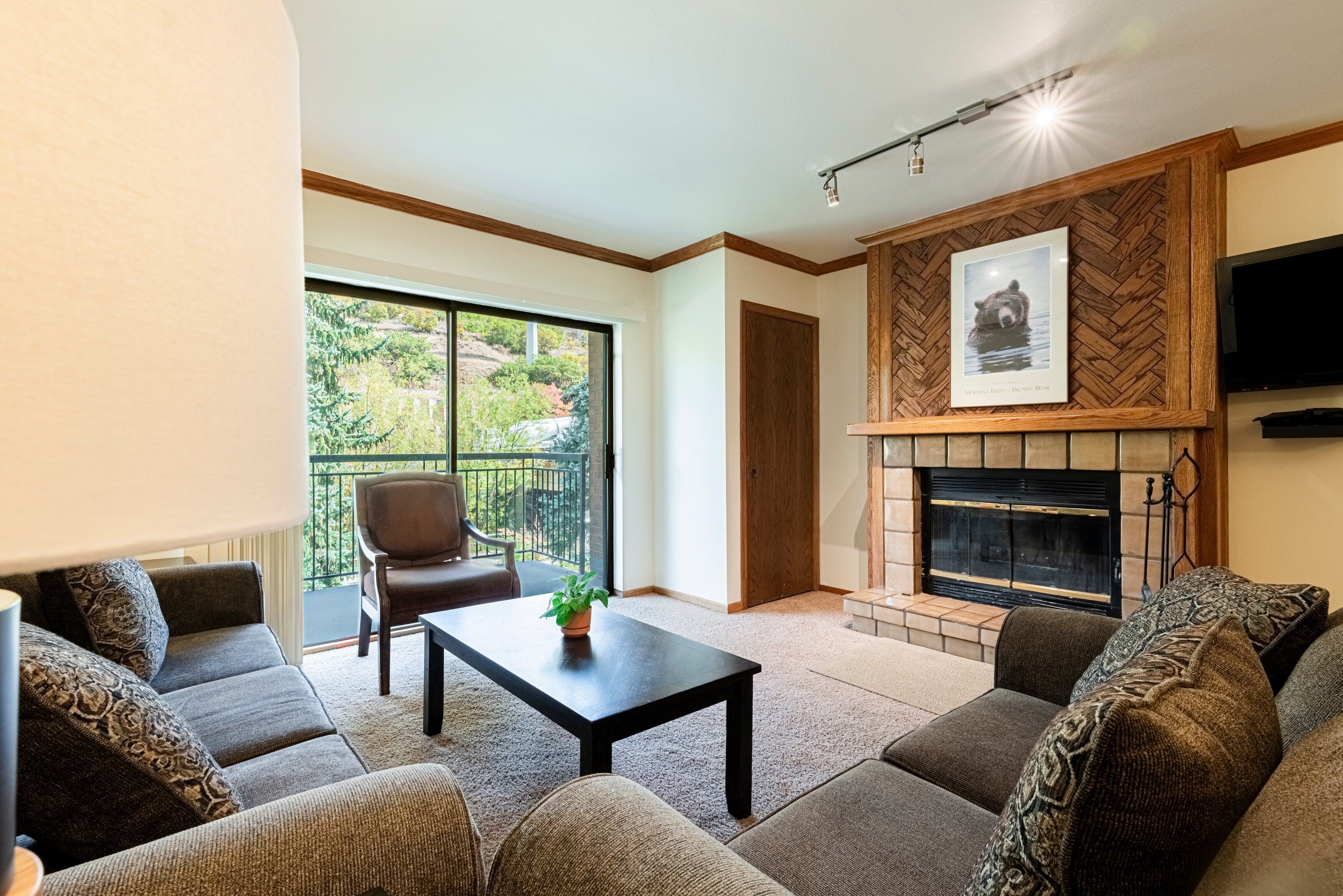 Smart-tv och eldstad