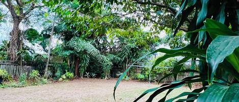 Comfort Apartment, Garden View | Garden view