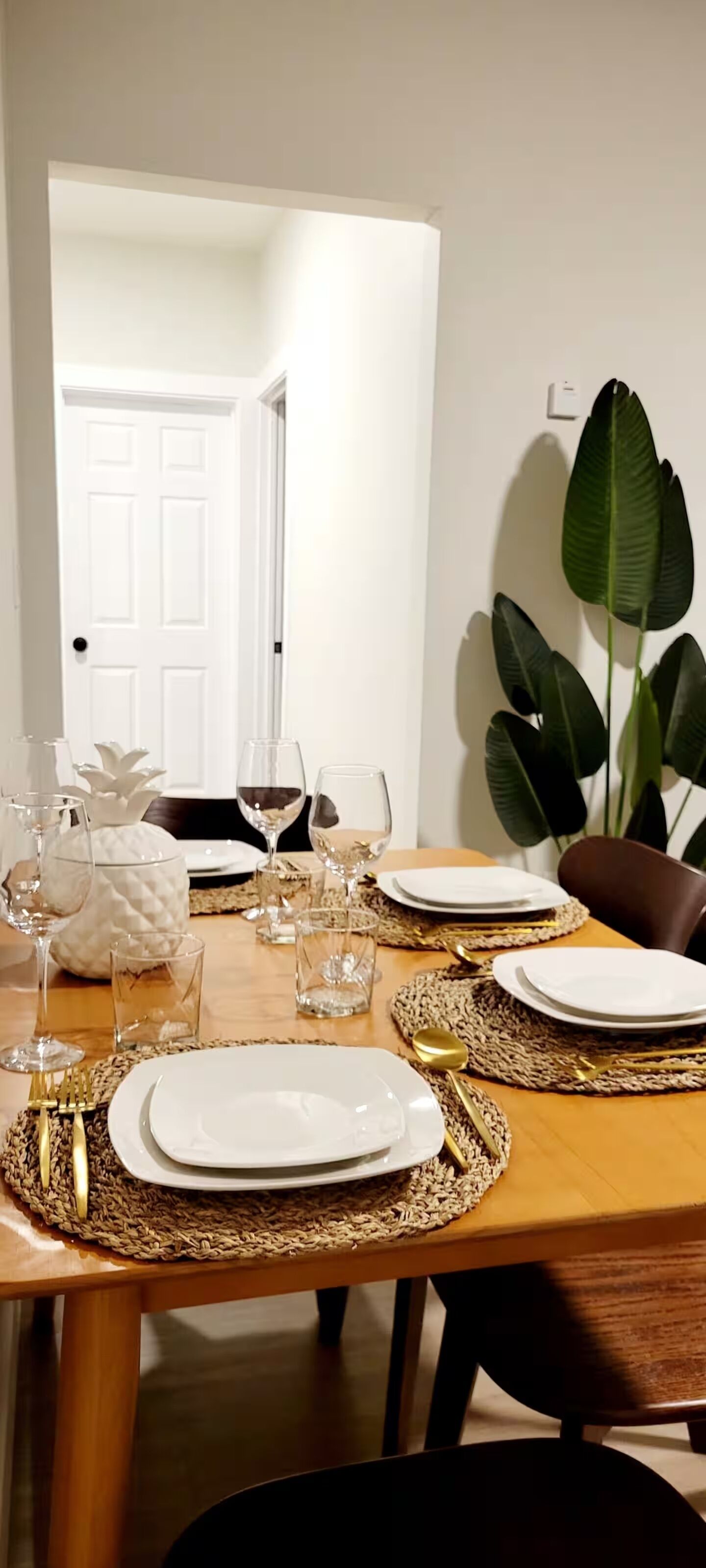 A dining table set with plates, glasses, and cutlery, surrounded by woven placemats and a large plant.