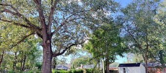 Beautifully Renovated Stylish 3 bdrm