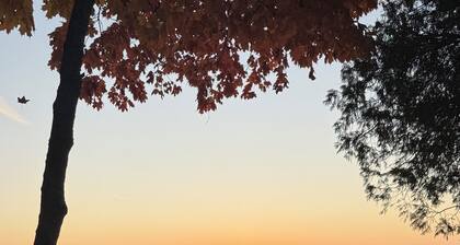 Modern Lake Michigan Retreat – Walkout Beach, Deck & Bonfire Pit